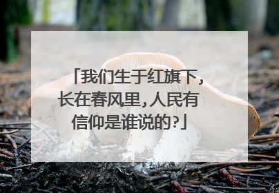 我们生于红旗下,长在春风里,人民有信仰是谁说的?