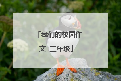 我们的校园作文 三年级