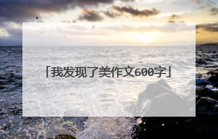 我发现了美作文600字