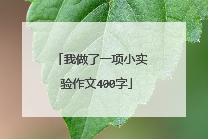 我做了一项小实验作文400字