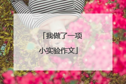 我做了一项小实验作文