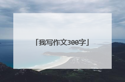 我写作文300字