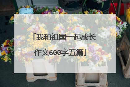 我和祖国一起成长作文600字五篇