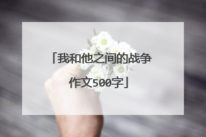 我和他之间的战争 作文500字