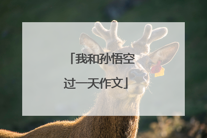 我和孙悟空过一天作文
