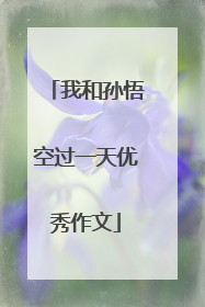 我和孙悟空过一天优秀作文