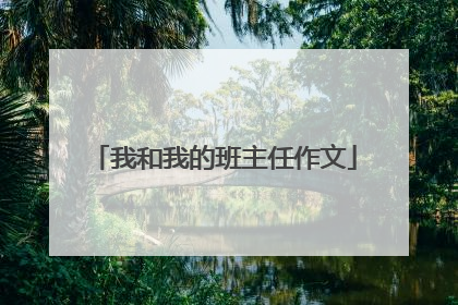 我和我的班主任作文