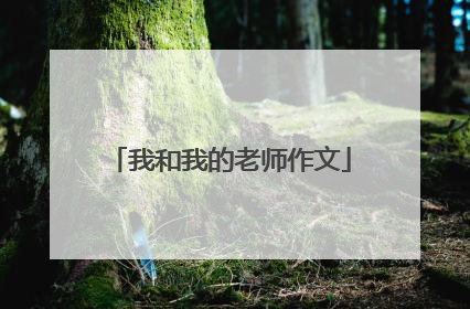 我和我的老师作文