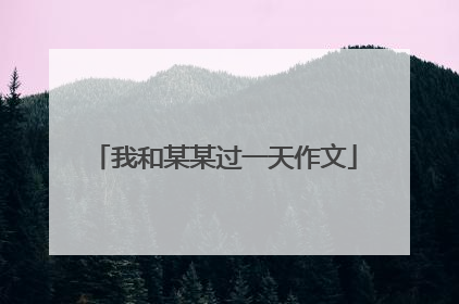 我和某某过一天作文