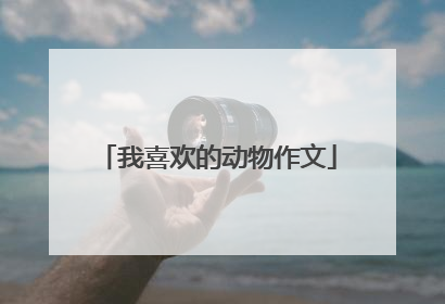 我喜欢的动物作文