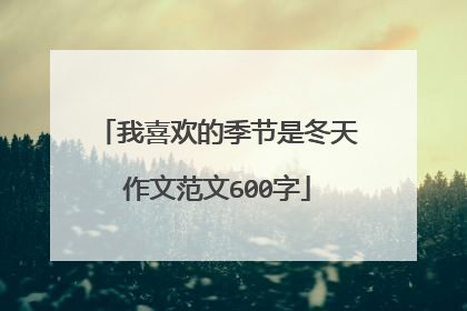 我喜欢的季节是冬天作文范文600字