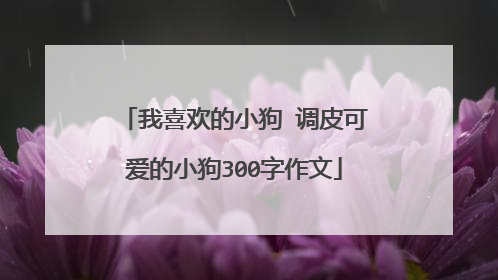 我喜欢的小狗 调皮可爱的小狗300字作文