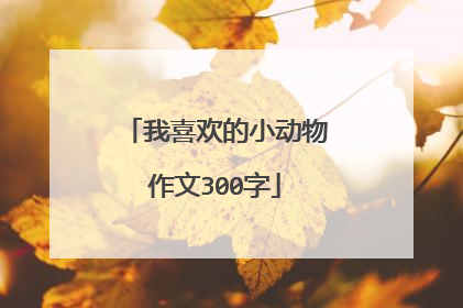 我喜欢的小动物作文300字