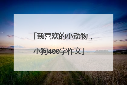 我喜欢的小动物，小狗400字作文