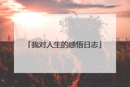 我对人生的感悟日志