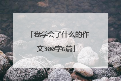 我学会了什么的作文300字6篇