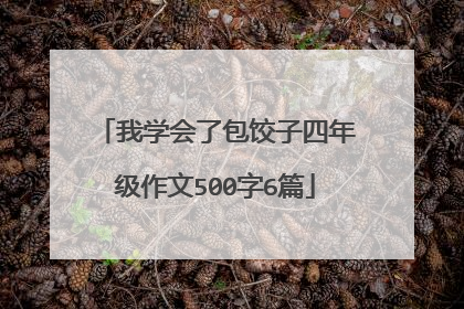 我学会了包饺子四年级作文500字6篇
