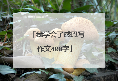 我学会了感恩写作文400字