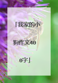 我家的小狗作文400字