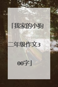 我家的小狗二年级作文300字