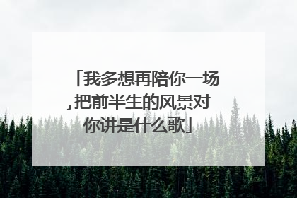 我多想再陪你一场,把前半生的风景对你讲是什么歌