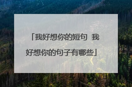 我好想你的短句 我好想你的句子有哪些