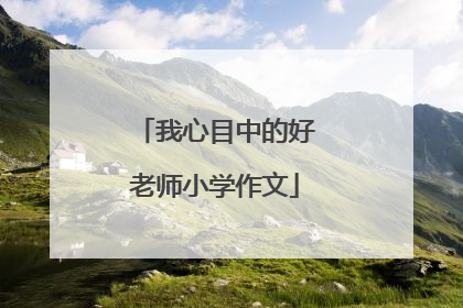 我心目中的好老师小学作文