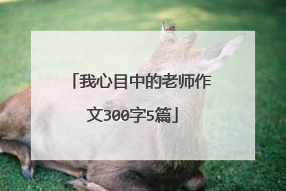 我心目中的老师作文300字5篇