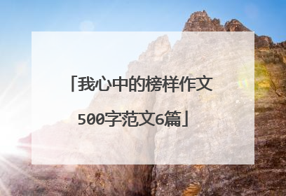 我心中的榜样作文500字范文6篇