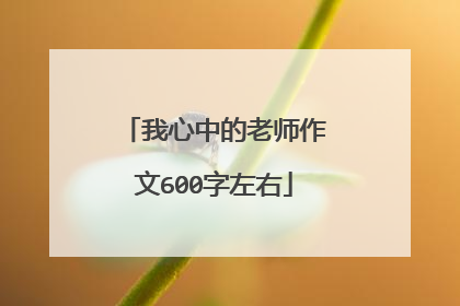 我心中的老师作文600字左右
