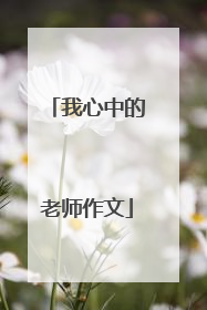 我心中的老师作文