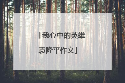 我心中的英雄袁隆平作文