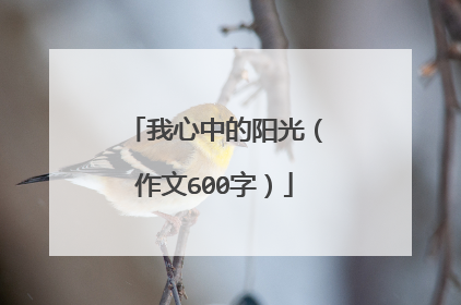 我心中的阳光（作文600字）