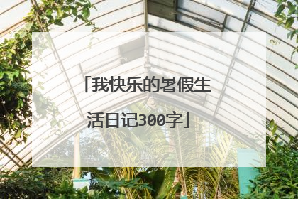 我快乐的暑假生活日记300字