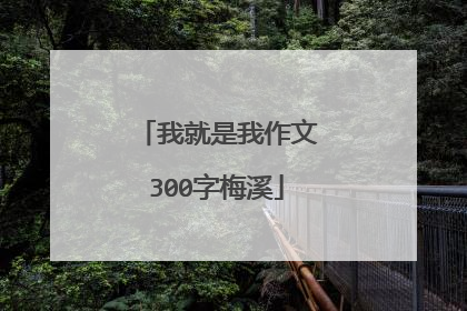 我就是我作文300字梅溪