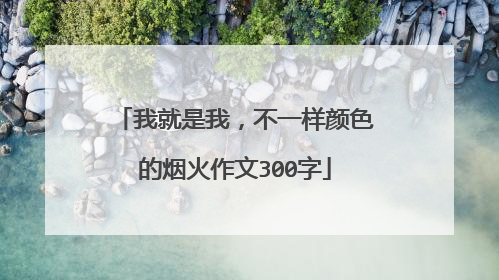 我就是我,不一样颜色的烟火作文300字