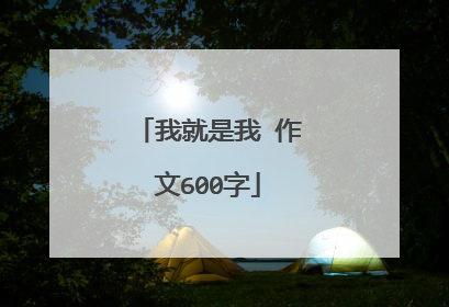 我就是我 作文600字