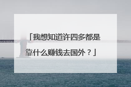 我想知道许四多都是靠什么赚钱去国外？