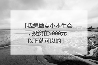 我想做点小本生意，投资在5000元以下就可以的