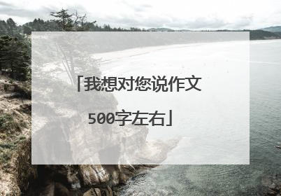 我想对您说作文500字左右