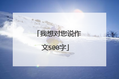 我想对您说作文500字