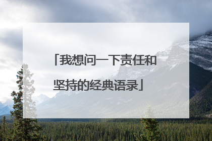 我想问一下责任和坚持的经典语录