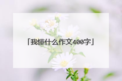 我懂什么作文400字