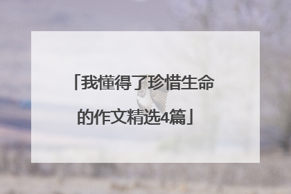 我懂得了珍惜生命的作文精选4篇