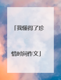我懂得了珍惜时间作文