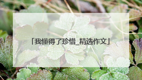 我懂得了珍惜_精选作文