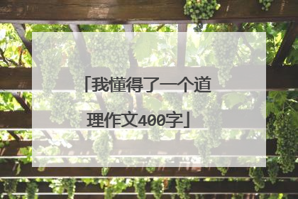 我懂得了一个道理作文400字