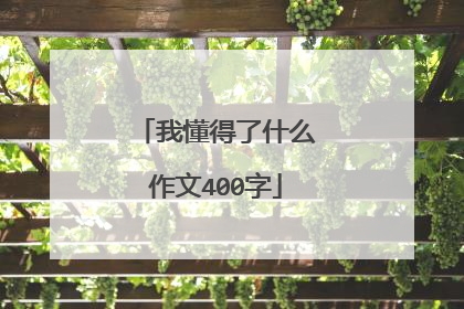 我懂得了什么作文400字