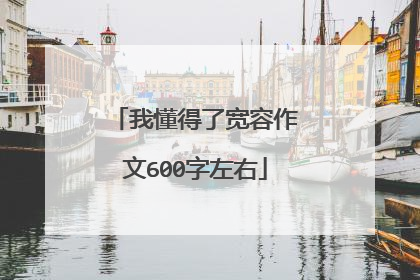 我懂得了宽容作文600字左右