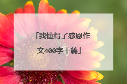 我懂得了感恩作文400字十篇